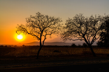 Wall Mural - Landscape at the Arusha national park at sunset, Tanzania