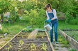 © Valerii Honcharuk - Woman watering vegetable garden with wooden beds with young vegetables