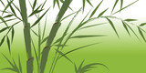 Fototapeta Sypialnia - design of chinese bamboo trees, vector illustration