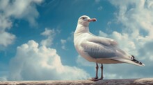 Portrait Of A Seagull On The Seashore. Close View Of A White Seagull Bird Sitting On The Beach. Wild Seagull With Natural Blue Background. Generative AI 