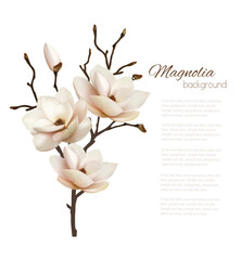 Wall Mural - Flower Background With Beautiful Magnolia. Vector.