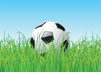 Wall Mural - Vector illustration of soccer ball in the grass