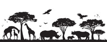 Silhouette Of Animals And Birds In The Savannah. African Landscape Scene. Vector Horizontal Seamless Tropical Background With Rhinos, Giraffes And Flying Birds. Black Isolated Silhouette