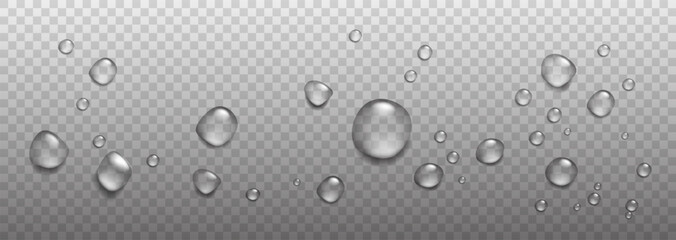 Wall Mural - Realistic rain drops, air bubblies, oxygen on the transparent background. Vector