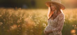Portrait of a pregnant young woman in a field in the morning.  Image generative AI.