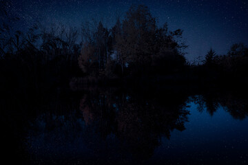 Wall Mural - Amazing starry sky and trees reflecting in lake at night