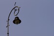 Street lamp against blue sky, photo with space for quote or title.