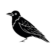 Sticker - Vector hand drawn doodle sketch black crow isolated on white background