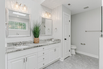 Luxury Clean Modern Bathroom Interior with Plant Styling and Double His and Her Vanity