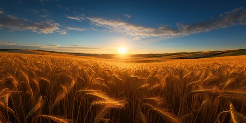 Field of golden wheat against the background of the morning sun in the sky with clouds. AI  generation 