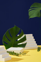 Wall Mural - Rectangular empty podium and white stairs decorated with green jungle monstera leaves on a dark blue background. Space for design, advertising and branding cosmetic product