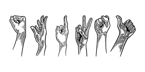 hand gesture set collections. vector illustration hand drawing sketch engraving style. vintage black