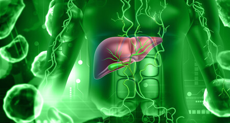 Wall Mural - Human liver on green background. 3d illustration..