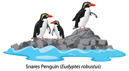 Poster - Snares penguin cartoon on the rock