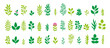 Set Of Green Leaves And Branches