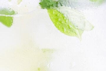 Wall Mural - Summer lemonade with basil and lime, lose up.  Drink concept