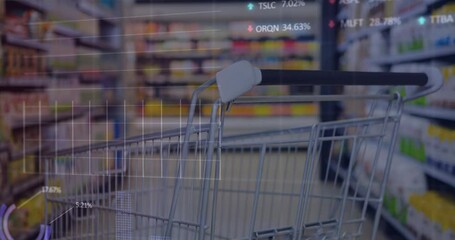 Leinwandbilder - Animation of graphs, trading boards and loading circles over shopping cart in superstore