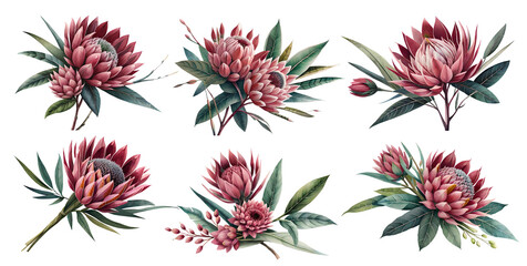 Wall Mural - Watercolor protea flowers with leaves. Generative Ai	