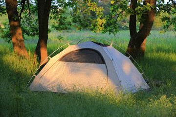 Wall Mural - tourist tent in green forest