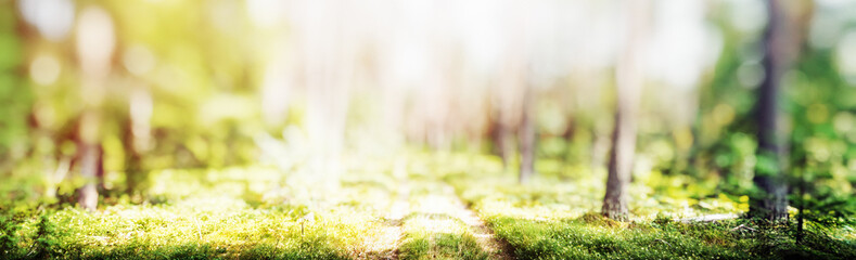 Sticker - Spring forest bokeh panorama