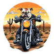 © sukumarbd4 - Farmer English Bulldog t-shirt design, A bulldog wearing a black leather jacket and a spiked collar, riding a Harley-Davidson motorcycle and cruising on a desert highway with a sunset, Generative Ai