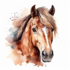  portrait of a horse