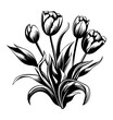  tulips isolated on white background