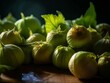 freshly harvested Tomatillos with their papery husks still intact