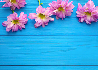 Wall Mural - Purple flower on blue wooden background from top view. Generative AI.