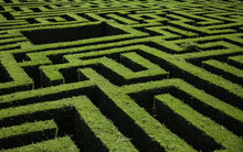 Green Bushes Maze