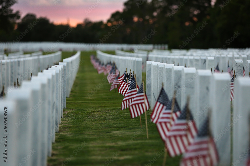 American flags placed at the headstones of veterans on Memorial Day, at ...
