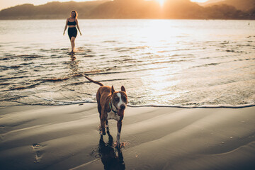 woman walking her dog on the beach 