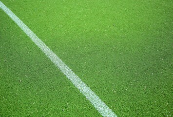 Artificial grass used for the garden and for football - playing fields , sports arenas