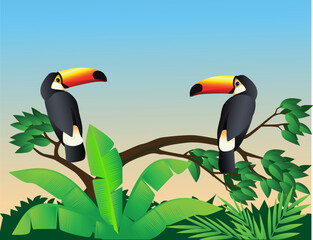 Wall Mural - Two toucan bird in the forest