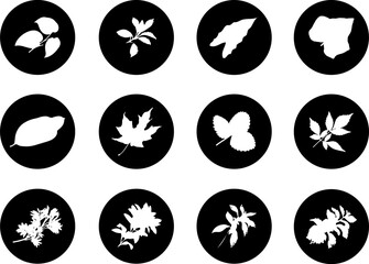 Sticker - The set from silhouettes of leaves, is presented in the form of 12 buttons.