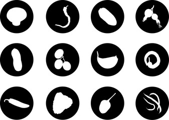 Sticker - Vegetables fruit. Vector. Set of 12 vector for web. Similar images can be found in my gallery.