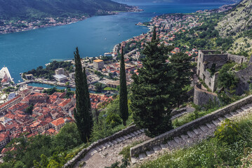 Sticker - Tourist path to ancient Old Town ruins around St John Fortress above historic part of Kotor town, Montenegro