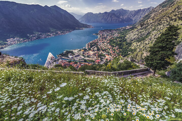 Wall Mural - Aerial view from ancient walls on historic part of Kotor town in Montenegro