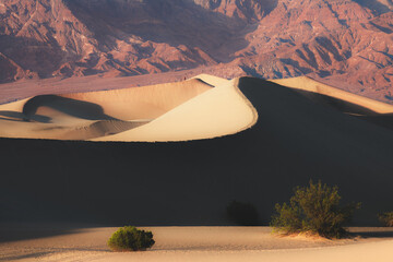 Wall Mural - Desert landscape of the golden Mesquite flat sand dunes against the rugged badlands terrain in Death Valley National Park, California, USA.