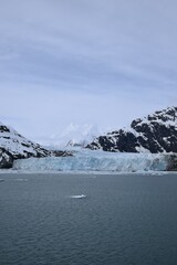 Wall Mural - View at Glacier Bay National Park in Alaska