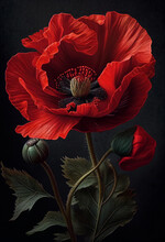 Red Poppy Symbol Of Victory On A Dark Background. Generative AI