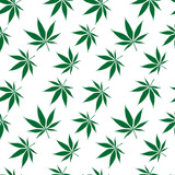 Fototapeta Sypialnia - cannabis seamless pattern extended, abstract texture; vector art illustration