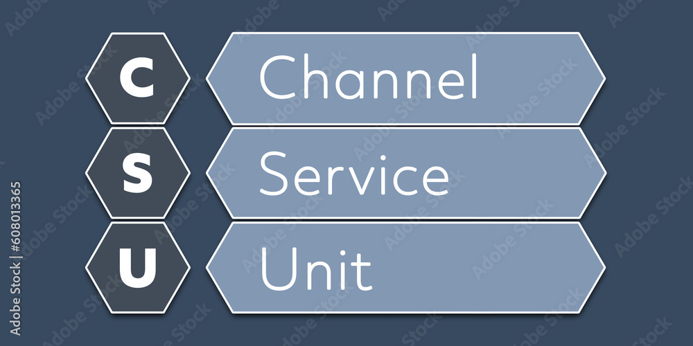 CSU Channel Service Unit. An Acronym Abbreviation of a term from the ...