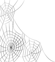 Wall Mural - halloween cobweb background. halloween cobweb wallpaper. cobweb background.