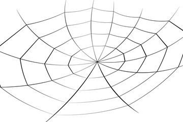 Wall Mural - halloween cobweb background. halloween cobweb wallpaper. cobweb background.