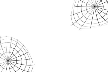 Wall Mural - halloween cobweb background. halloween cobweb wallpaper. cobweb background.