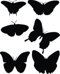 Sticker - collection of butterfly silhouette - vector