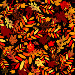 Canvas Print - Autumn leaves seamless background for your design