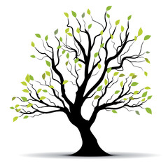 Poster - Green vector tree over white background