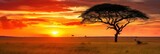 Portrait sunset on the savanna with tree AI Generative
